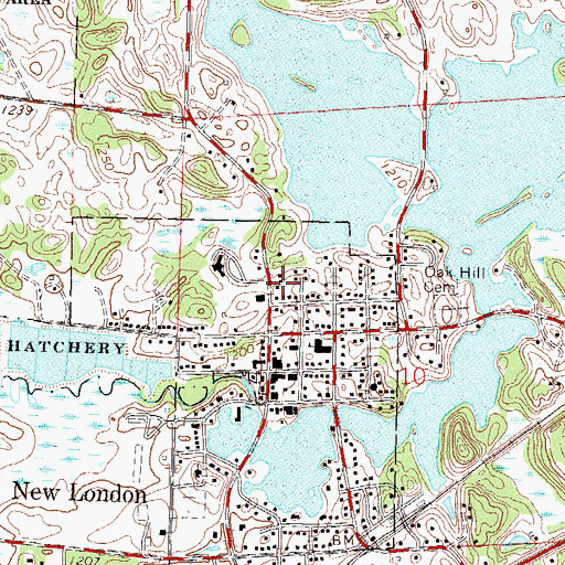 Topographic Map of Affiliated Community Medical Center, MN