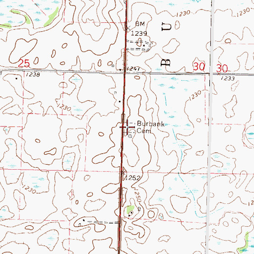 Topographic Map of Burbank Cemetery, MN
