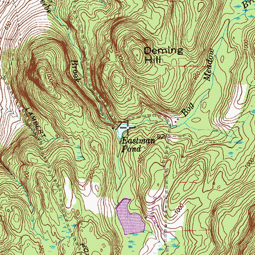 Topographic Map of Eastman Pond, CT