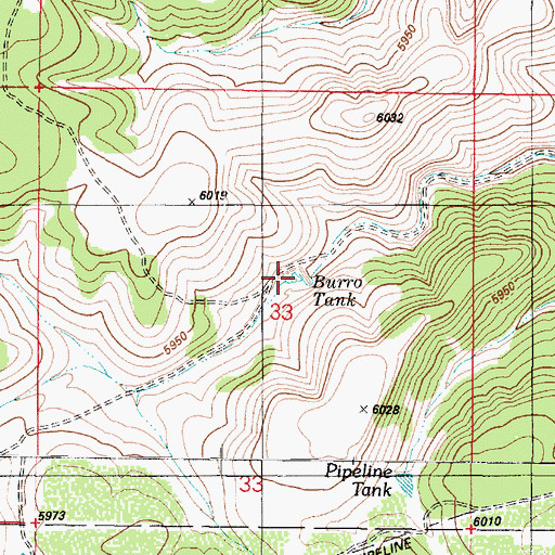 Topographic Map of Burro Tank, AZ