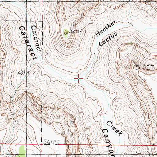 Topographic Map of Cactus Canyon, AZ