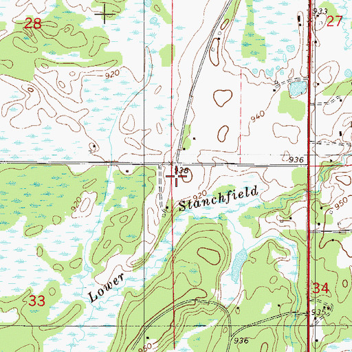 Topographic Map of Elm Park Cemetery, MN