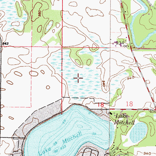 Topographic Map of McDowall Lake, MN
