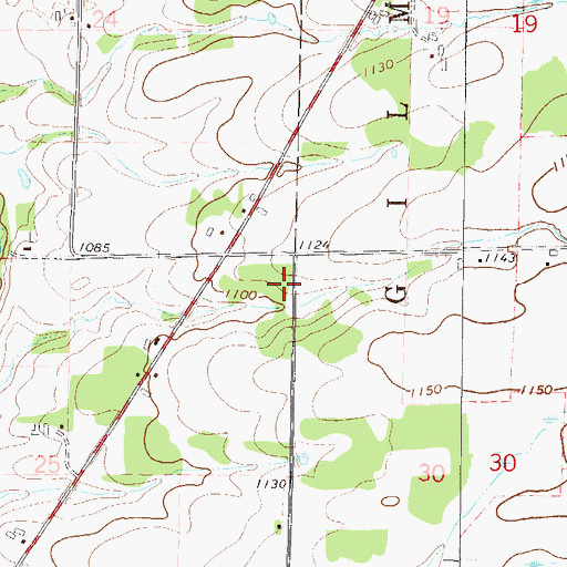 Topographic Map of Polish Lutheran Church Cemetery, MN