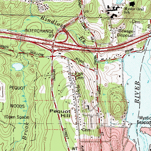Topographic Map of Fish Cemetery, CT