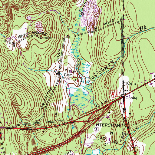 Topographic Map of Fiske Cemetery, CT