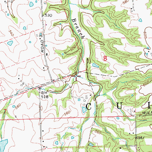 Topographic Map of Silver Spring Creek, MO