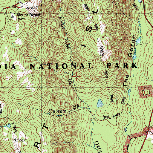 Topographic Map of Cadillac Brook, ME