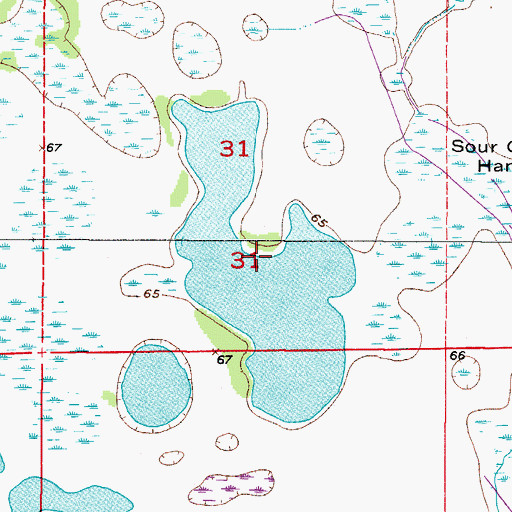 Topographic Map of Sour Orange Lake, FL