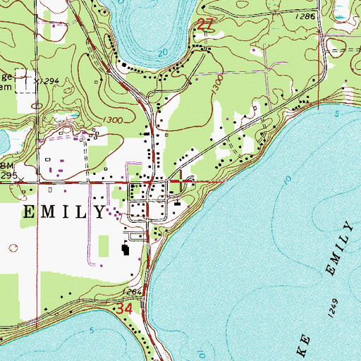 Topographic Map of Lake Emily Resort and Campground, MN