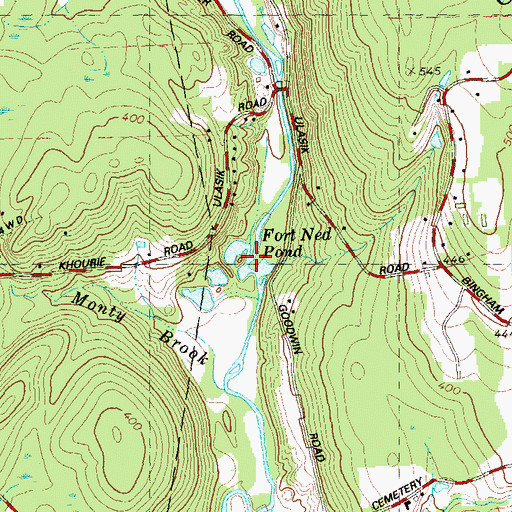 Topographic Map of Fort Ned Pond, CT