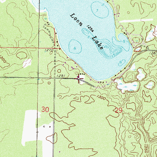 Topographic Map of Loon Lake Campland, MN