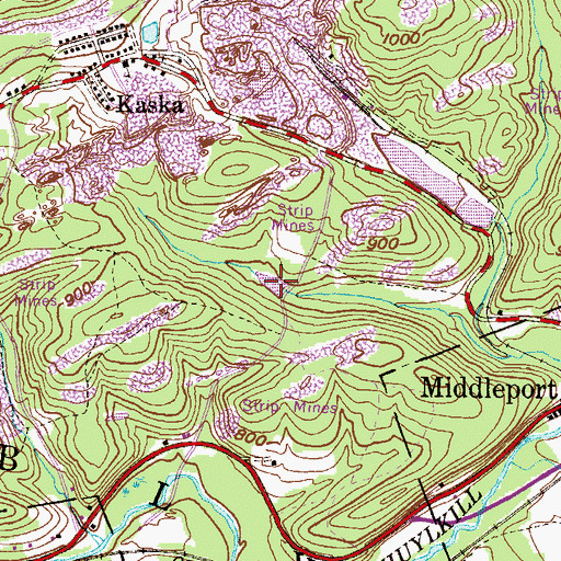 Topographic Map of The Swampy, PA