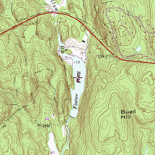 Topographic Map of Foster Pond, CT