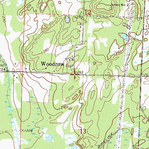 Topographic Map of Woodrow Post Office (historical), MN