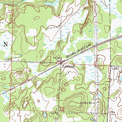 Topographic Map of Loerch (historical), MN