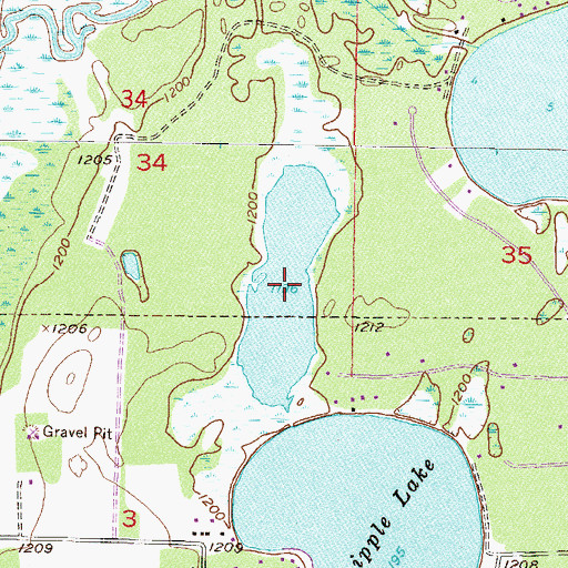 Topographic Map of Little Whipple Lake, MN