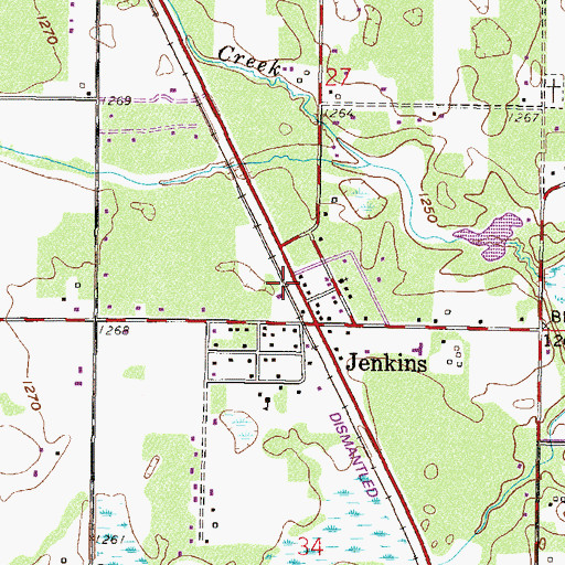 Topographic Map of Jenkins (historical), MN