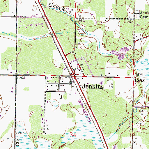 Topographic Map of Jenkins Post Office, MN