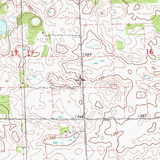 Topographic Map of Old Pelican Valley Cemetery, MN