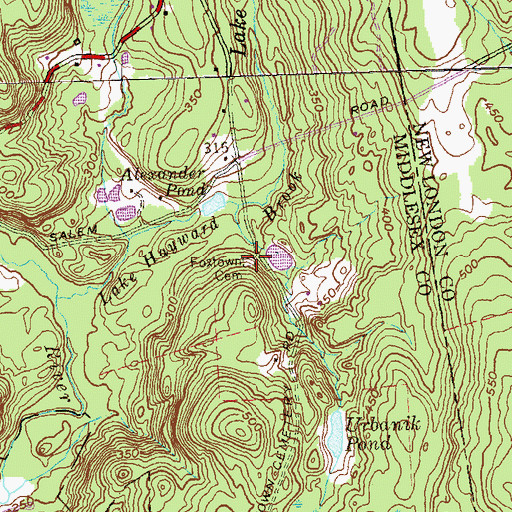 Topographic Map of Foxtown Cemetery, CT