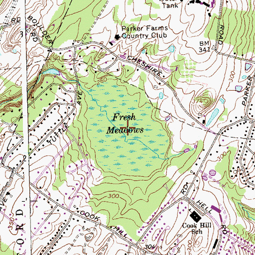 Topographic Map of Fresh Meadows, CT
