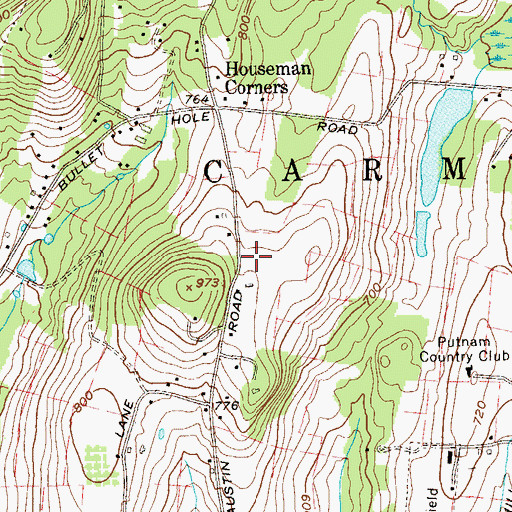 Topographic Map of Austin Road Elementary School, NY