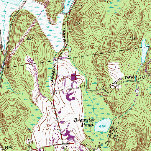 Topographic Map of Brewster High School, NY