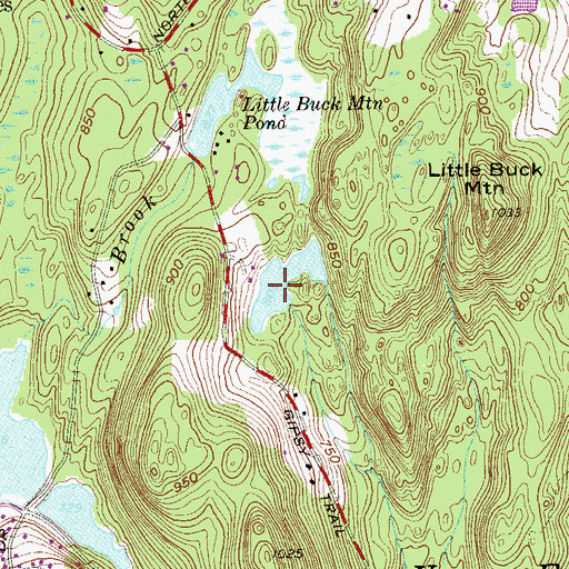 Topographic Map of Bird Pond, NY