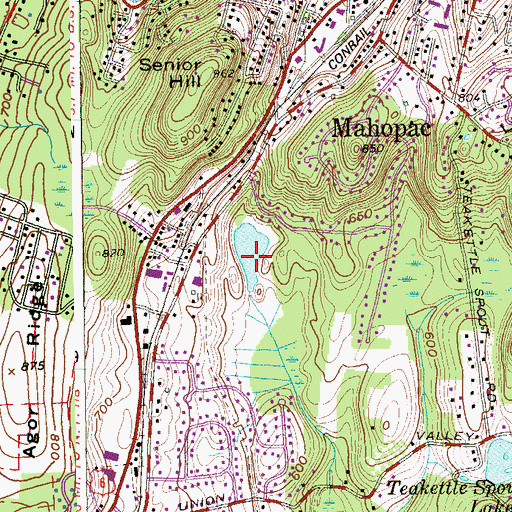 Topographic Map of Bloomer Pond, NY