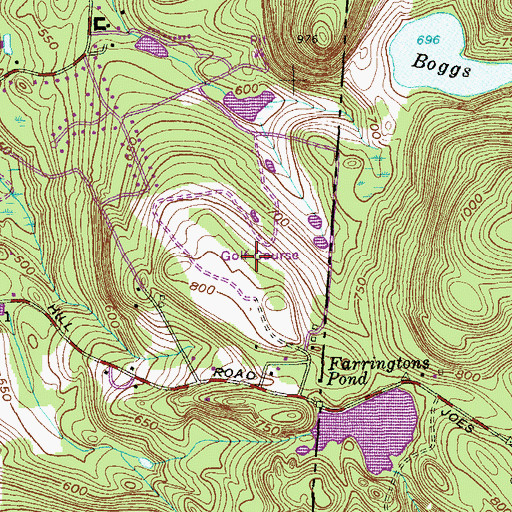 Topographic Map of Morefar Golf Club, NY