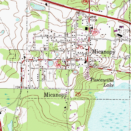 Topographic Map of Paradise United Methodist Church, FL