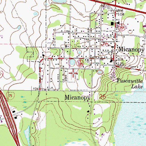 Topographic Map of Micanopy Historic Cemetery, FL