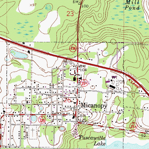Topographic Map of Micanopy Branch Library, FL
