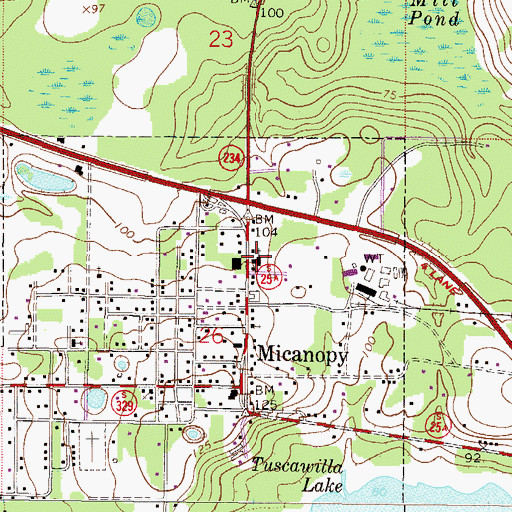 Topographic Map of First Baptist Church of Micanopy, FL