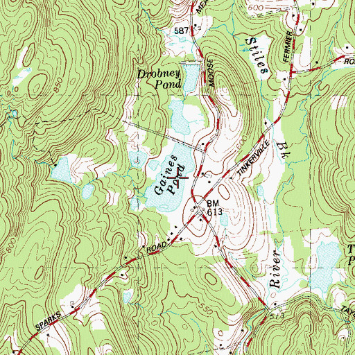Topographic Map of Gaines Pond, CT