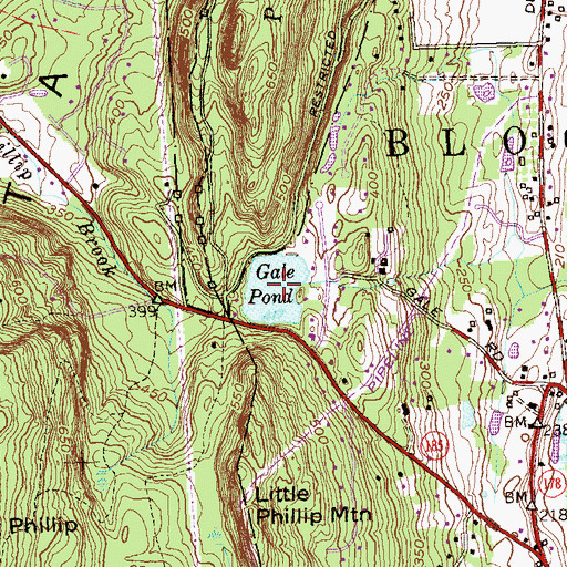 Topographic Map of Gale Pond, CT