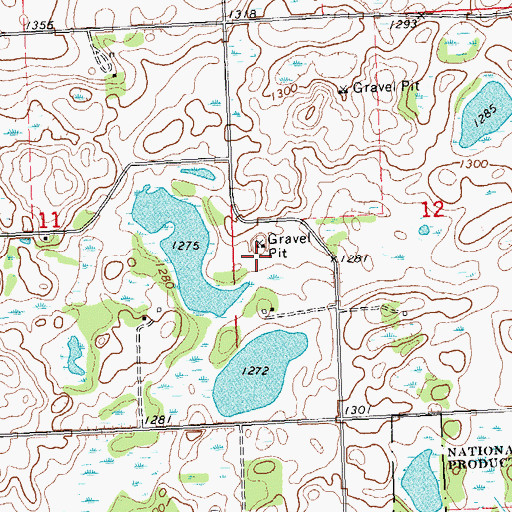 Topographic Map of Friborg Lutheran Church Cemetery (historical), MN