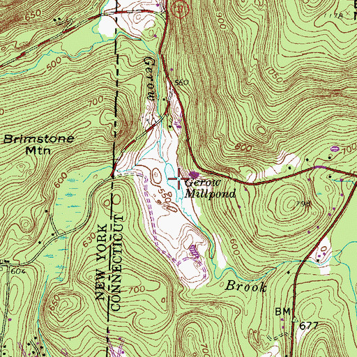 Topographic Map of Gerow Millpond, CT