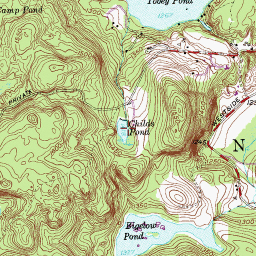 Topographic Map of Ghilds Pond, CT