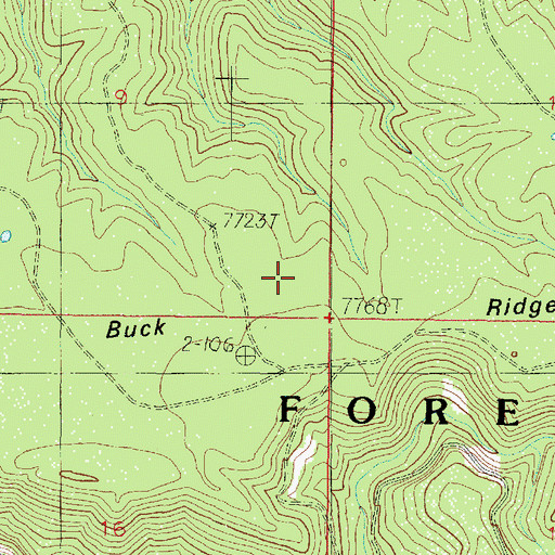 Topographic Map of Buck Ridge, AZ