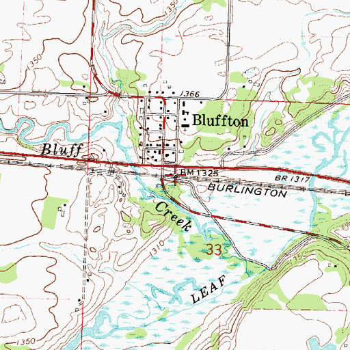 Topographic Map of Bluffton, MN