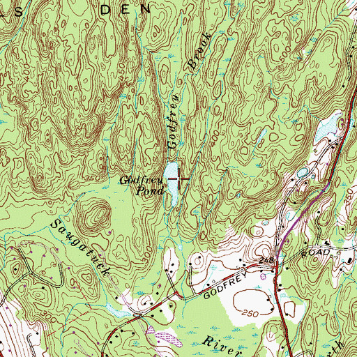 Topographic Map of Godfrey Pond, CT