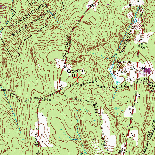 Topographic Map of Goose Hill, CT