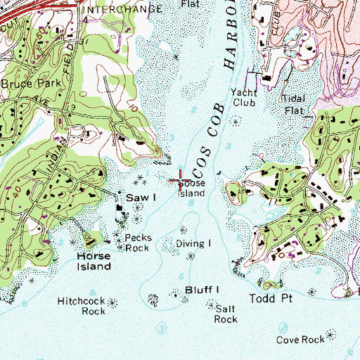 Topographic Map of Goose Island, CT