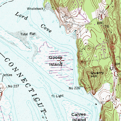 Topographic Map of Goose Island, CT