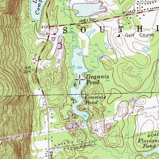 Topographic Map of Grannis Pond, CT