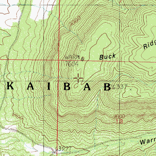 Topographic Map of Buck Ridge Point, AZ