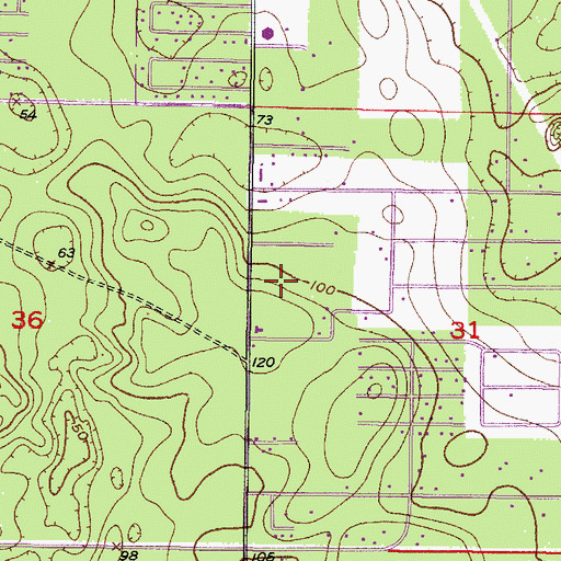 Topographic Map of Shirdi Sai Center, FL