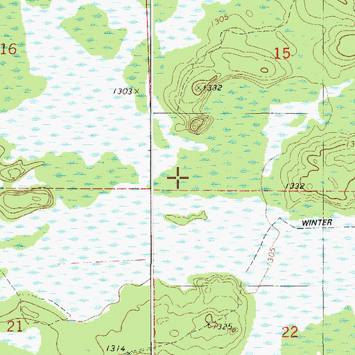 Topographic Map of Township of Red Clover, MN
